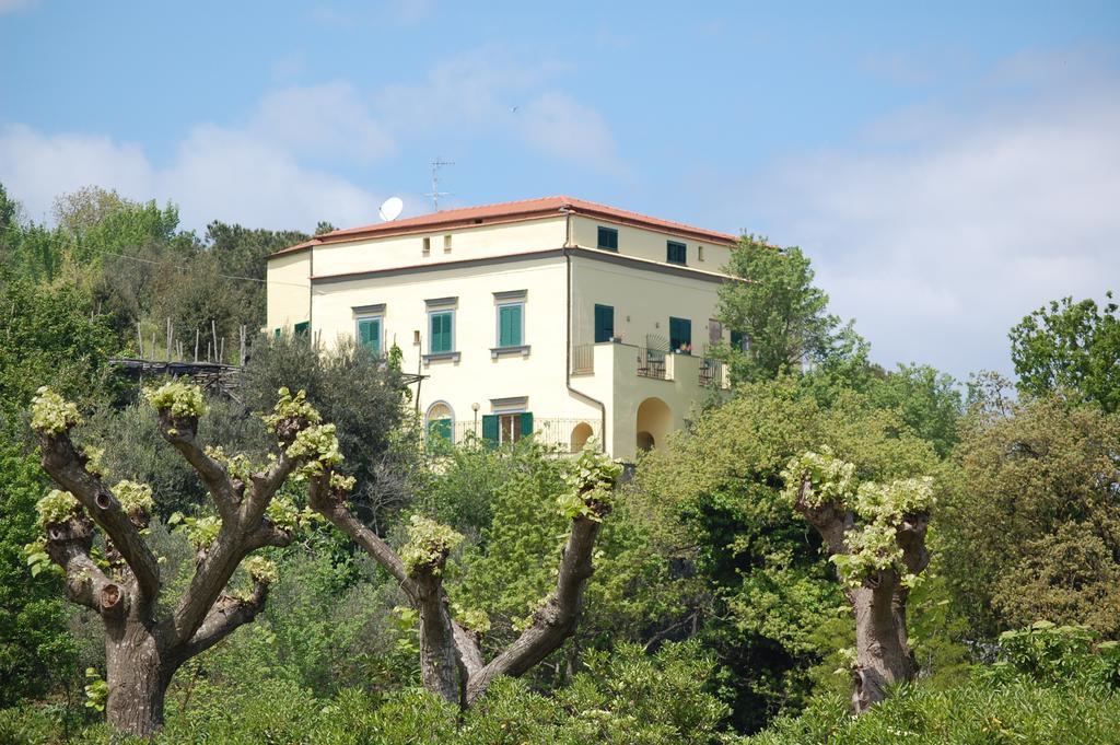 Villa Romita SantʼAgata sui Due Golfi Екстериор снимка